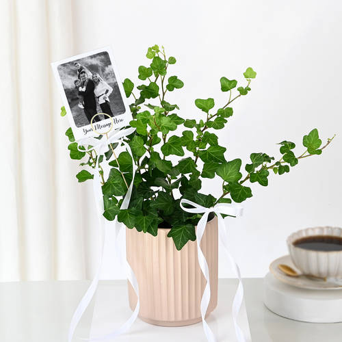 Personalized English Ivy And Fridge Magnet Combo