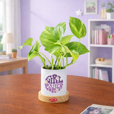 Girl Power Women's Day Money Plant Gift-picture-19