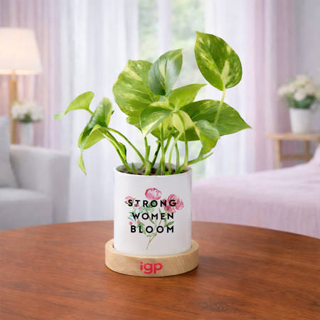 Strong Women Bloom Money Plant For Women's Day
