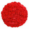 100 Carnations