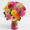 12 Mixed Gerbera