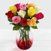 12 Mixed Roses
