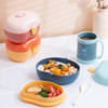 Gift 2-Layered Lunch Box - Plastic - Blue - Single Piece
