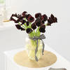 Gift 20 Calla Lily Luxe Vase Arrangement