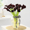 20 Calla Lily Luxe Vase Arrangement