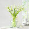 Gift 20 White Calla Lilies in Glass Vase
