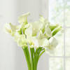 Buy 20 White Calla Lilies in Glass Vase