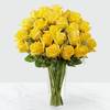24 Yellow Roses in Vase Online