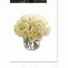 30 White Stems Roses with Glas Pot Online