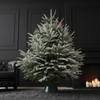 Buy 4 to 5 Feet  Winter Wonder Fresh Christmas Tree With Decoration