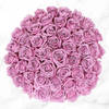 50 Stem Mauve Roses