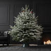 Gift 7 to 8 Feet Winter Wonder Fresh Christmas Tree With Decoration