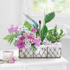 A Walk in the Garden Basket Online