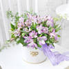 Gift Alstroemeria Allure