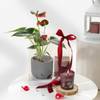 Gift Anthurium Plant with Jasmine Candle
