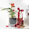 Buy Anthurium Plant with Jasmine Candle