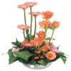 Arrangement of Cut Flowers Online