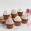 Gift Assorted Vanilla Cupcakes