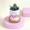 Gift Attractive Haworthia with Personalized Vase