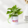 Gift Awesome Didi Money Plant With Mug Planter