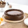 Shop Belgian Bliss Couverture Cake