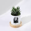 Buy Beloved Memories - Haworthia Succulent With Pot - Personalized