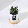 Shop Beloved Memories - Haworthia Succulent With Pot - Personalized