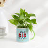 Best Sis Ever Money Plant With Mug Planter