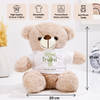 Gift Birthday Buddy Personalized Teddy For Kids