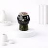 Black Ceramic Cat Face Planter With Echeveria Succulent
