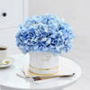 Buy Blue Beauty Flower Box