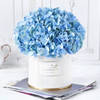 Blue Beauty Flower Box Online