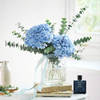 Gift Blue Hues And Fragrance Of Sophistication