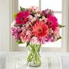 Blushing Beauty Bouquet Online