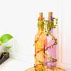 Gift Bottle Light - Colorful String