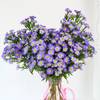 Buy Bright Blue Daisy Valentine's Day Arrangement