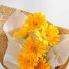 Buy Bright Gerberas Bouquet