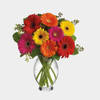 Brights Gerber Bouquet