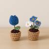 Charming Blue Crochet Blooms Duo