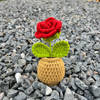 Gift Charming Handcrafted Crochet Rose Pot