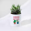 Cheers To The New Year - Haworthia Plant With Pot