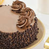 Shop Choco Chip Truffle Cake