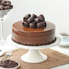 Choco Craze Fudge Cake (1 Kg)