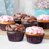 Gift Chocolate and Vanilla Cupcakes (Pack of 6)