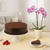 Chocolate Cake & Orchid