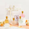 Christmas Euphoria Perfume Collection