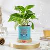 Christmas Money Plant Ceramic Planter Gift