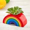 Colourful Ceramic Rainbow Planter With Succulent Plant