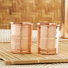 Gift Copper Water Bottle with 2 Glasses