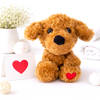 Cuddly Doodle Dog Plush Valentines Gift